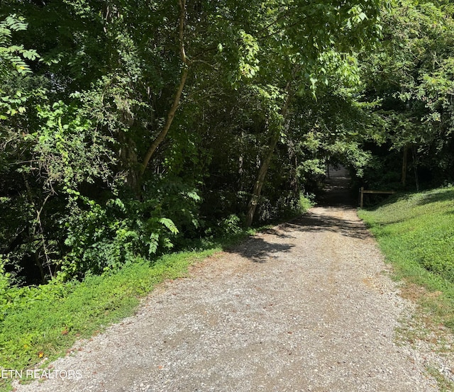 652 Indian Mountain Rd, Jellico, TN 37762 - photo 6