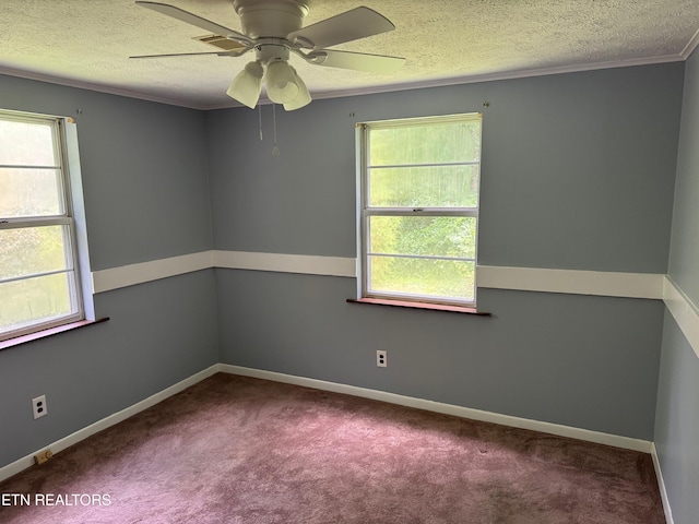 652 Indian Mountain Rd, Jellico, TN 37762 - photo 13