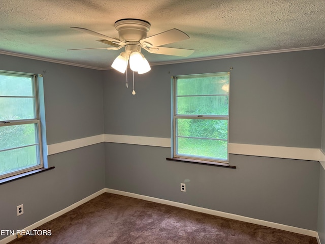 652 Indian Mountain Rd, Jellico, TN 37762 - photo 14