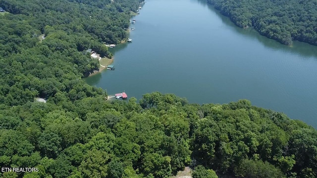 LOT44 Ridgeland Dr, Sharps Chapel, TN 37866 - photo 3