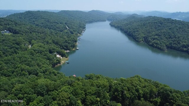 LOT44 Ridgeland Dr, Sharps Chapel, TN 37866 - photo 4
