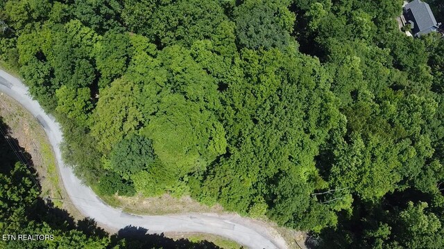 LOT44 Ridgeland Dr, Sharps Chapel, TN 37866 - photo 5