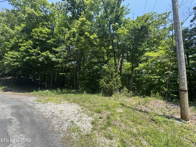 LOT44 Ridgeland Dr, Sharps Chapel, TN 37866 - photo 9