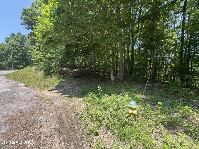 LOT44 Ridgeland Dr, Sharps Chapel, TN 37866 - photo 10