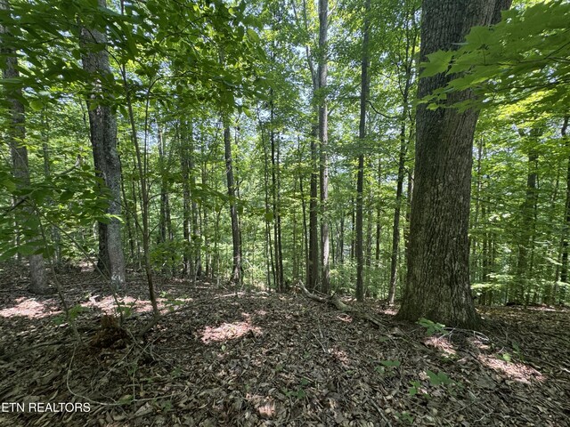 LOT44 Ridgeland Dr, Sharps Chapel, TN 37866 - photo 12