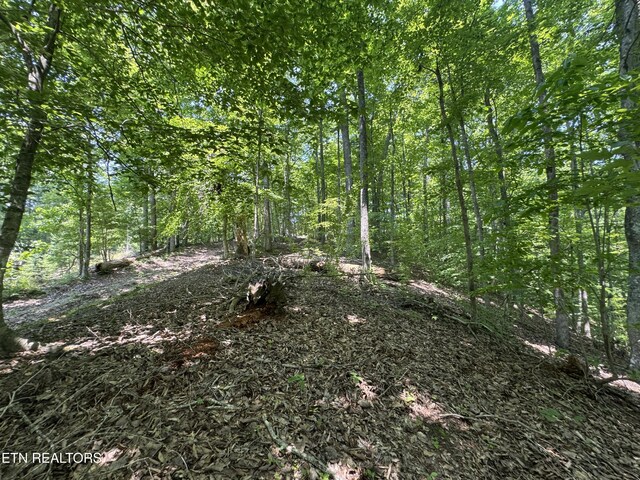 LOT44 Ridgeland Dr, Sharps Chapel, TN 37866 - photo 13