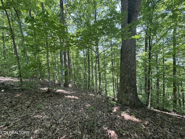 LOT44 Ridgeland Dr, Sharps Chapel, TN 37866 - photo 14