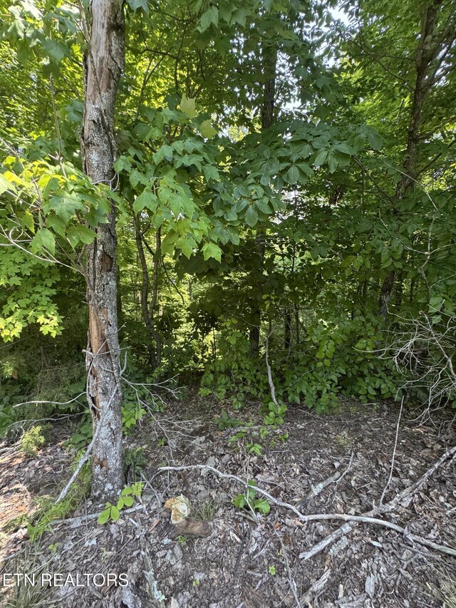 LOT44 Ridgeland Dr, Sharps Chapel, TN 37866 - photo 7