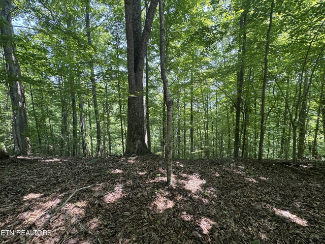 LOT44 Ridgeland Dr, Sharps Chapel, TN 37866 - photo 15