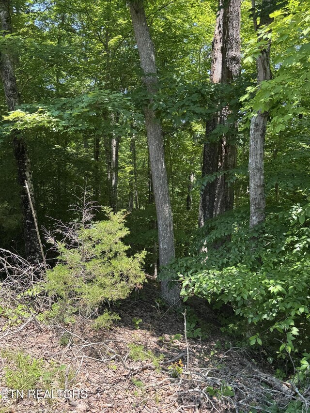 LOT44 Ridgeland Dr, Sharps Chapel, TN 37866 - photo 6