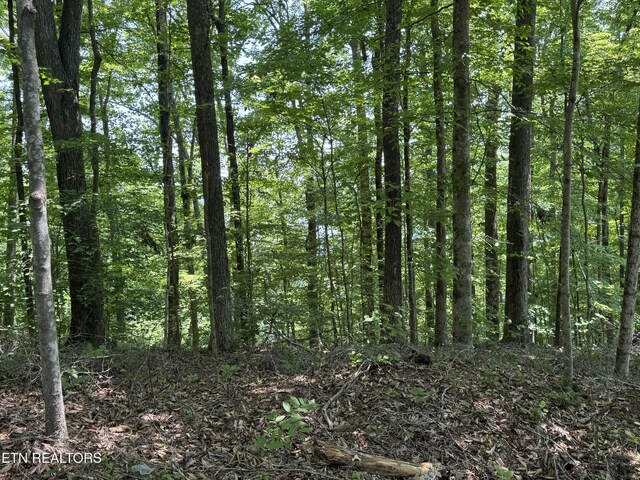 LOT44 Ridgeland Dr, Sharps Chapel, TN 37866 - photo 16