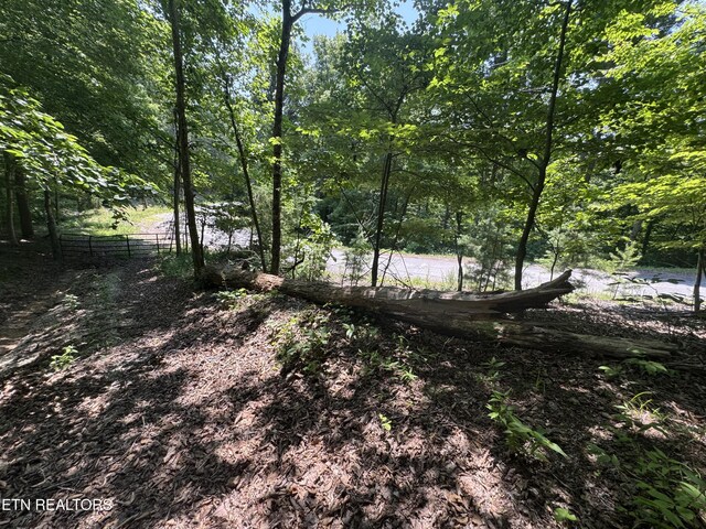 LOT44 Ridgeland Dr, Sharps Chapel, TN 37866 - photo 17