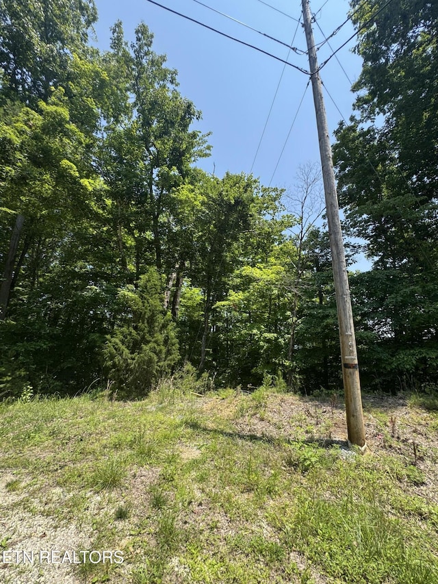 LOT44 Ridgeland Dr, Sharps Chapel, TN 37866 - photo 8