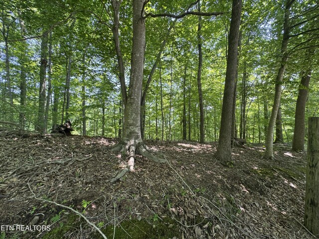 LOT44 Ridgeland Dr, Sharps Chapel, TN 37866 - photo 18