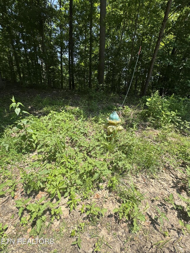 LOT44 Ridgeland Dr, Sharps Chapel, TN 37866 - photo 11