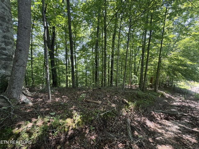 LOT44 Ridgeland Dr, Sharps Chapel, TN 37866 - photo 19