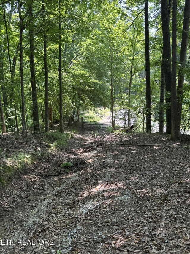 LOT44 Ridgeland Dr, Sharps Chapel, TN 37866 - photo 20