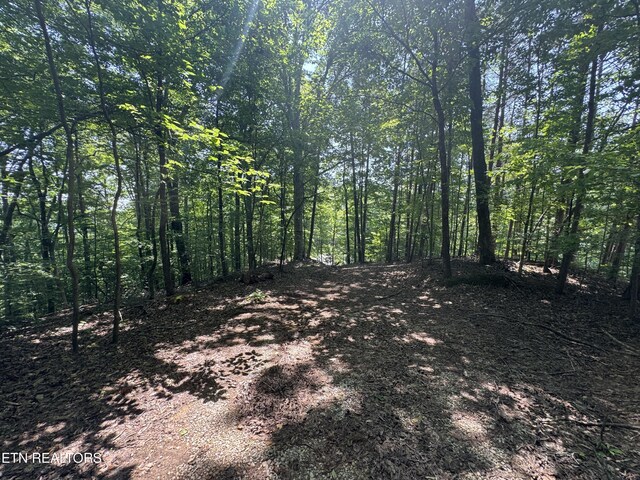 LOT44 Ridgeland Dr, Sharps Chapel, TN 37866 - photo 22