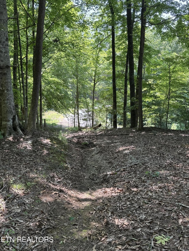 LOT44 Ridgeland Dr, Sharps Chapel, TN 37866 - photo 21