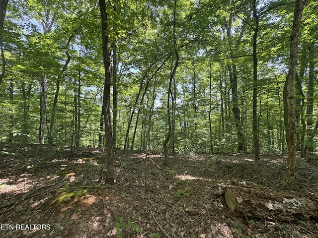 LOT44 Ridgeland Dr, Sharps Chapel, TN 37866 - photo 23