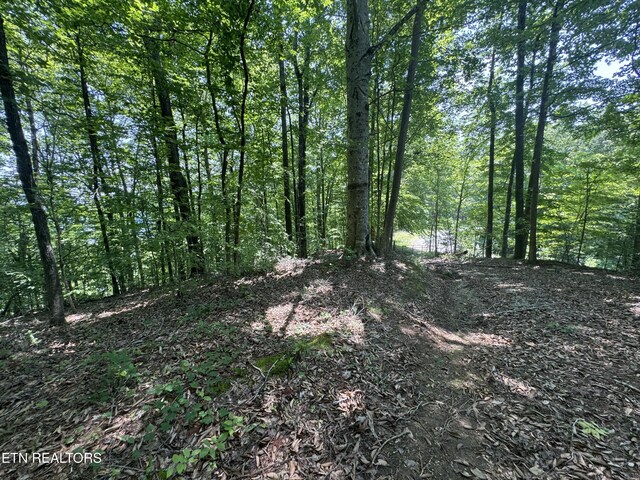 LOT44 Ridgeland Dr, Sharps Chapel, TN 37866 - photo 24