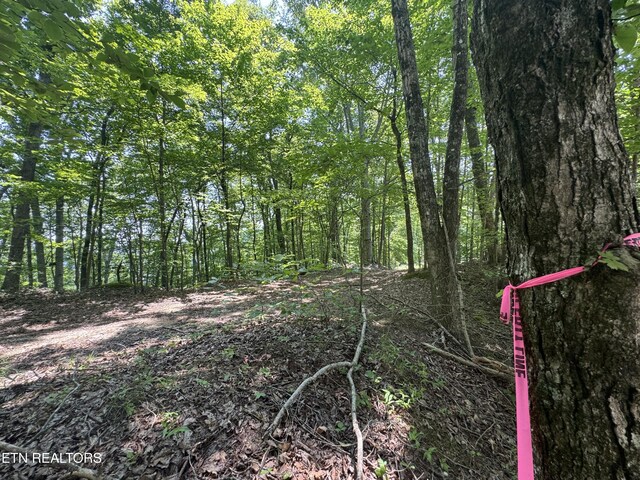 LOT44 Ridgeland Dr, Sharps Chapel, TN 37866 - photo 25