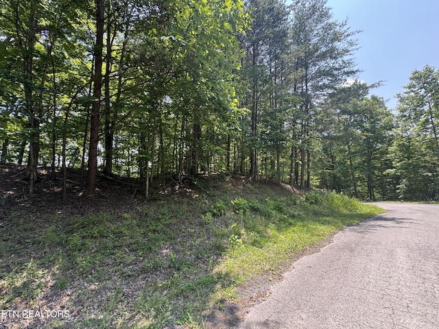 LOT44 Ridgeland Dr, Sharps Chapel, TN 37866 - photo 2