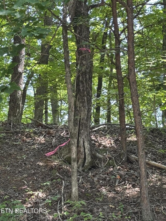 LOT44 Ridgeland Dr, Sharps Chapel, TN 37866 - photo 26