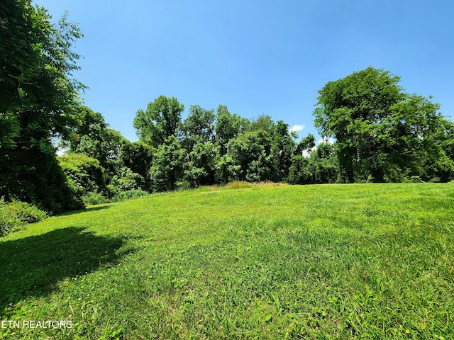 Harding Rd, Harriman, TN 37748