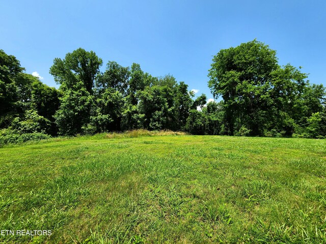 Harding Rd, Harriman, TN 37748 - photo 2