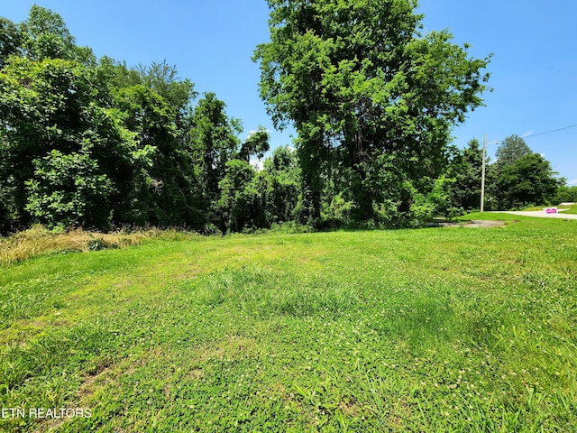 Harding Rd, Harriman, TN 37748 - photo 3