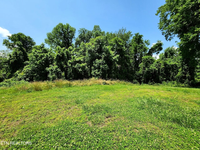 Harding Rd, Harriman, TN 37748 - photo 4