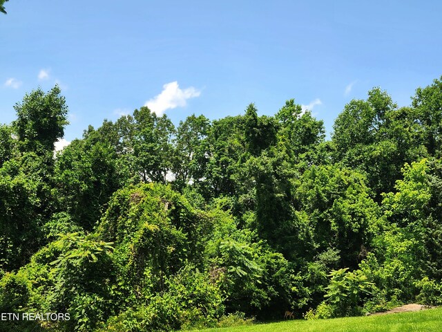 Harding Rd, Harriman, TN 37748 - photo 5