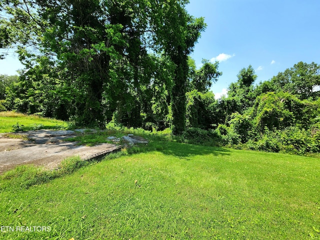 Harding Rd, Harriman, TN 37748 - photo 7