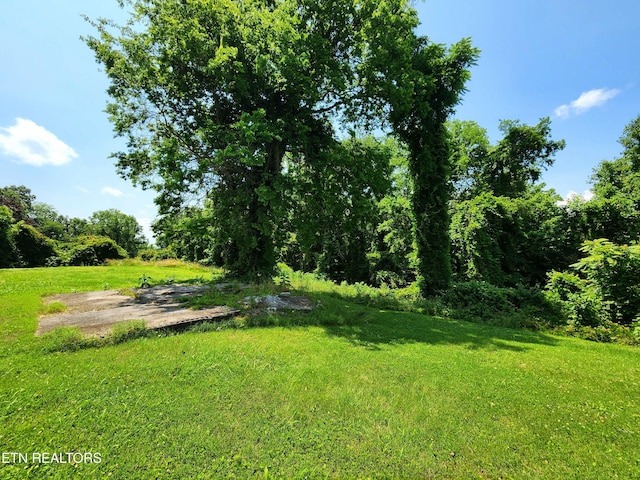 Harding Rd, Harriman, TN 37748 - photo 8
