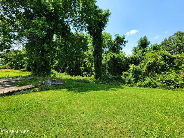Harding Rd, Harriman, TN 37748 - photo 9
