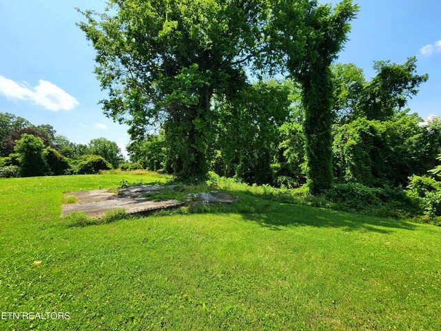 Harding Rd, Harriman, TN 37748 - photo 10
