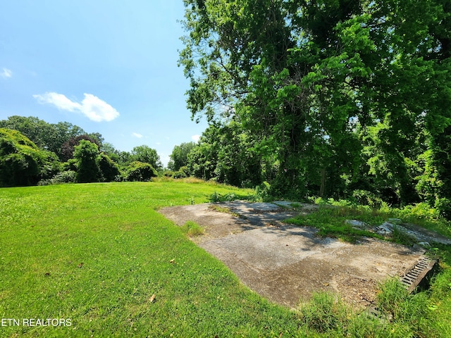 Harding Rd, Harriman, TN 37748 - photo 11