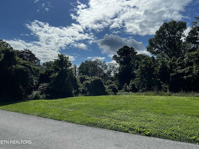 Harding Rd, Harriman, TN 37748 - photo 15