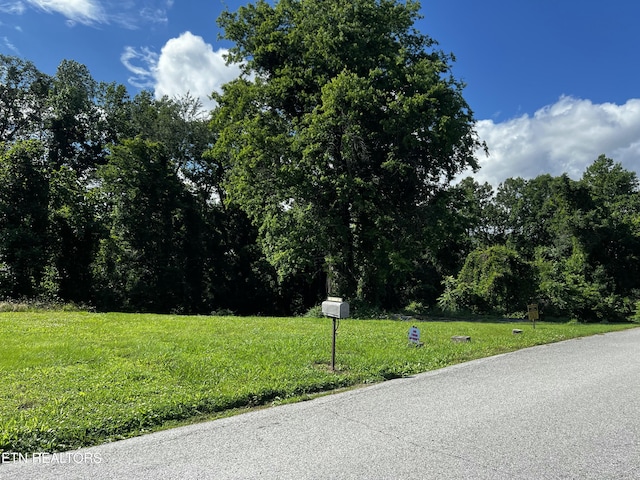 Harding Rd, Harriman, TN 37748 - photo 16