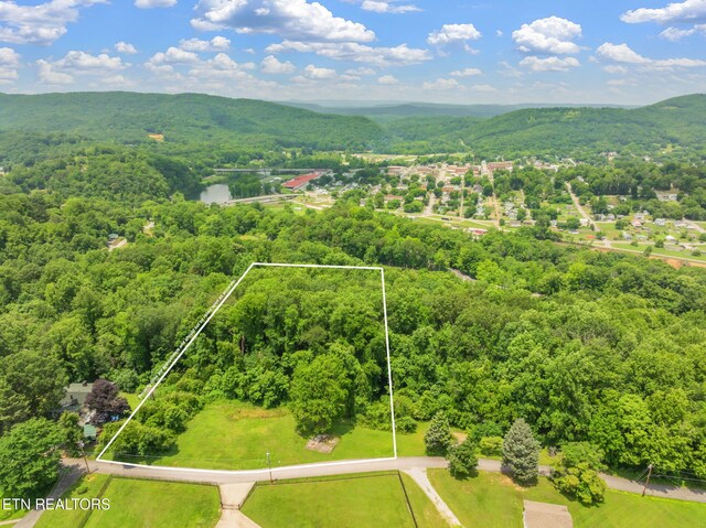 Harding Rd, Harriman, TN 37748 - photo 18