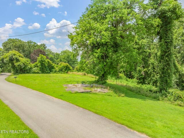Harding Rd, Harriman, TN 37748 - photo 19