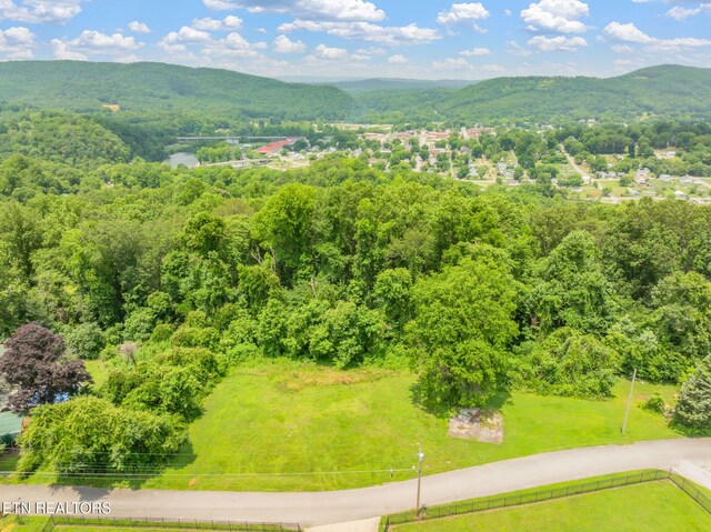 Harding Rd, Harriman, TN 37748 - photo 20