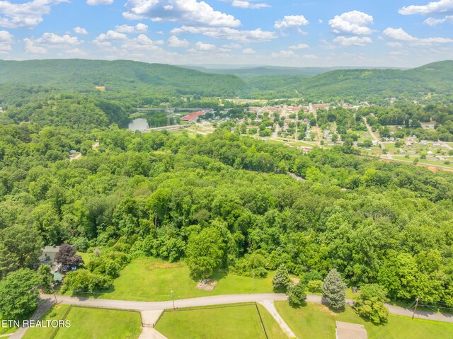 Harding Rd, Harriman, TN 37748 - photo 25