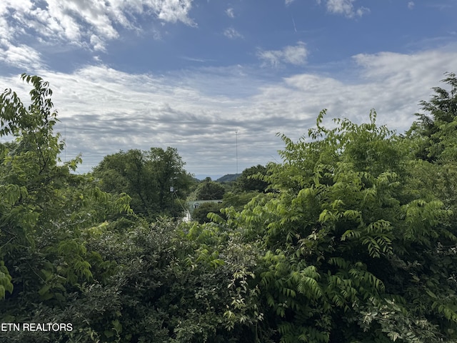 740 Sterchi Park Way Unit F7, Knoxville, TN 37912 - view of nature