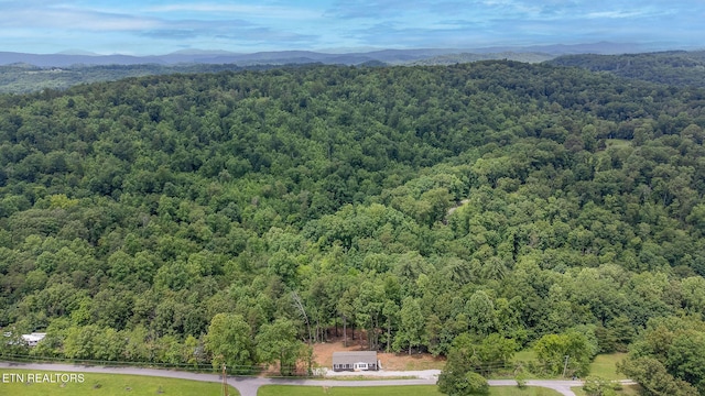 399 Black Oak Rd, Harriman, TN 37748 - photo 4