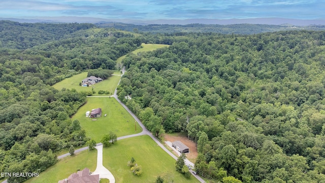 399 Black Oak Rd, Harriman, TN 37748 - photo 5