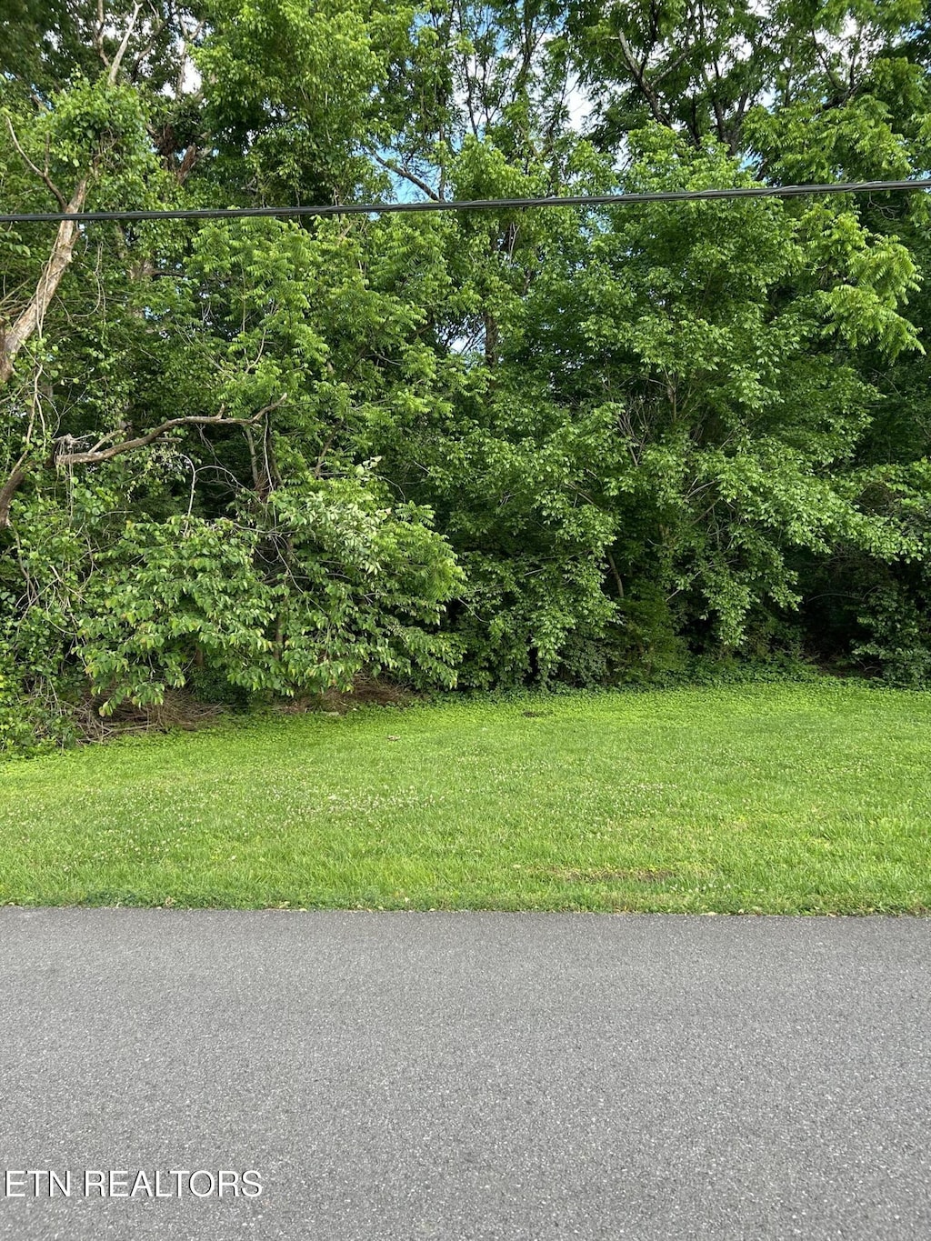 1808 S Hills Dr, Knoxville, TN 37920 - photo 1