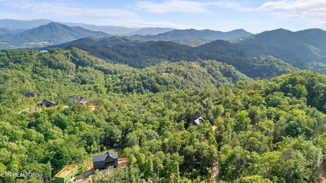 LOT47 Spurling Rd, Sevierville, TN 37862