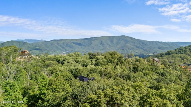 LOT47 Spurling Rd, Sevierville, TN 37862
